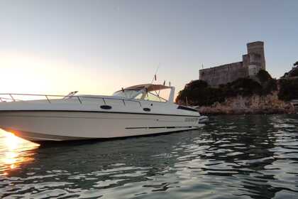 Hire Motorboat Tour del Golfo dei Poeti Airon marine 36 La Spezia
