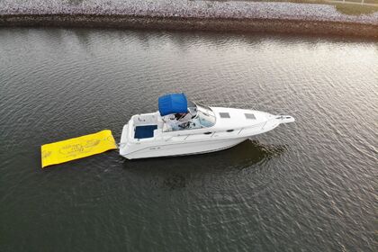 Charter Motorboat Sea Ray 270 Mazatlán