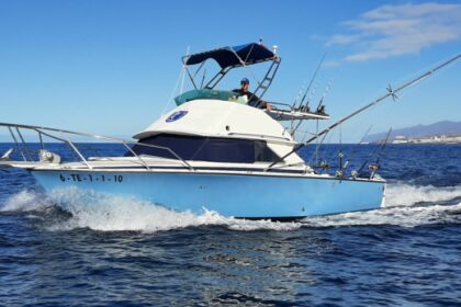 Alquiler Lancha Bertram 28 Santa Cruz de Tenerife