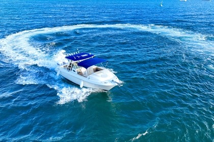 Charter Motorboat Wellcraft Scarab 30 Sport Le Gosier