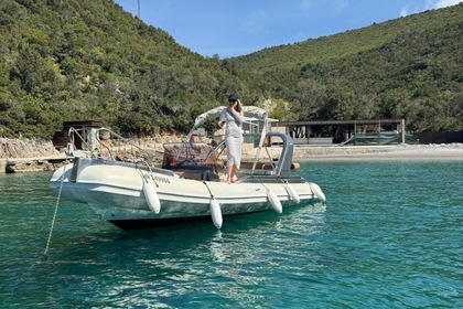 Charter RIB Grginic Shark 23 Perast