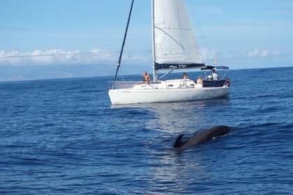 Hire Sailboat Ro Nautica 330 Costa Adeje