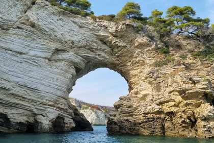 Noleggio Barca a motore Idea Marine Idea58 Vieste