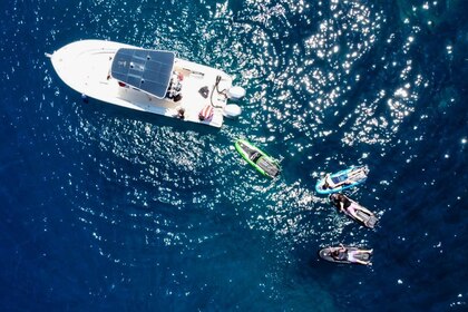 Noleggio Barca a motore Pursuit 2570 Offshore Rapallo