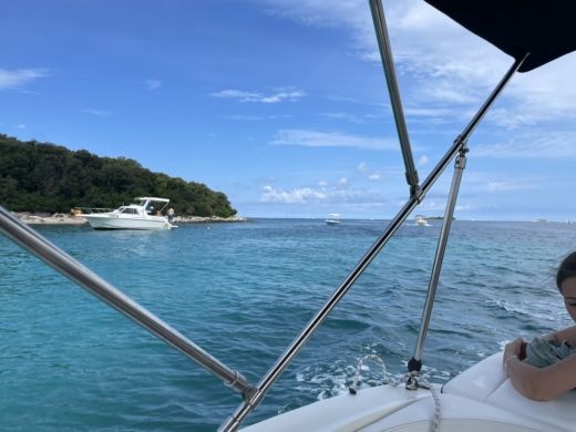 Poreč Motorboat Sea Ray 190 Spx alt tag text