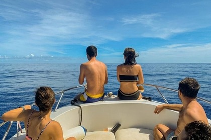 Aluguel Lancha Quicksilver 555 commander Marseillan