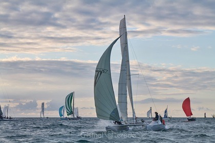 Location Catamaran Salarino Formule 28 Saint-Malo