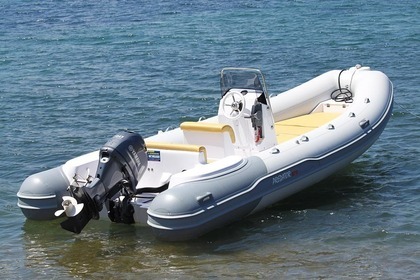 Noleggio Barca senza patente  Predator 570 Portoferraio