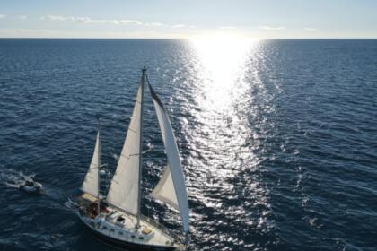 Hire Sailboat Allied Princess Bayahibe