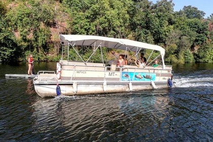 Charter Motorboat Pantoon SunChaser OV Várzea do Douro