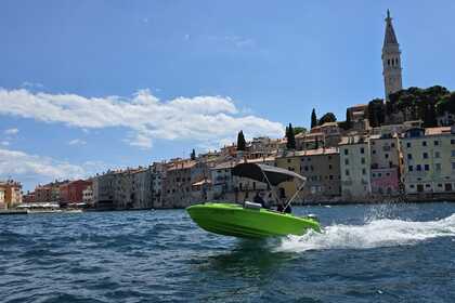 Charter Motorboat Roto Roto450s family Rovinj