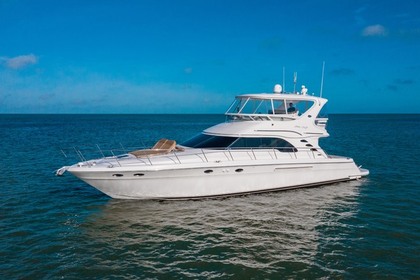 Hire Motor yacht Sea Ray 2020 Dubai Marina