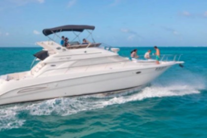 Charter Motorboat Sea Ray 460 Cancún