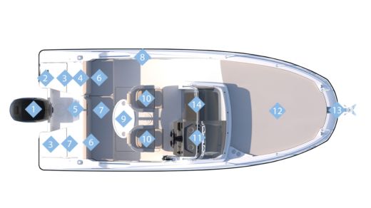 Motorboat Quicksilver Activ 605 Sundeck Plan du bateau