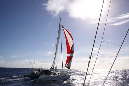 Verhuur Catamaran JEANTOT MARINE Privilège 51 Arrondissement Le Marin