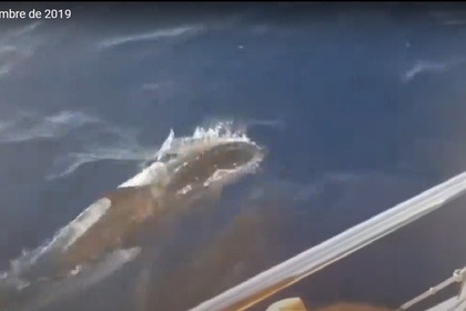 Charter Sailboat Jeanneau Sun Odyssey 349 Mataró