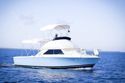 Rental Motor yacht Bertram 28 La Romana