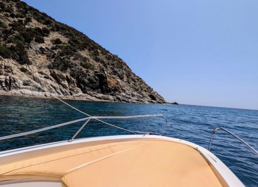 Crabonaxa Without license Capelli Capelli 520 alt tag text