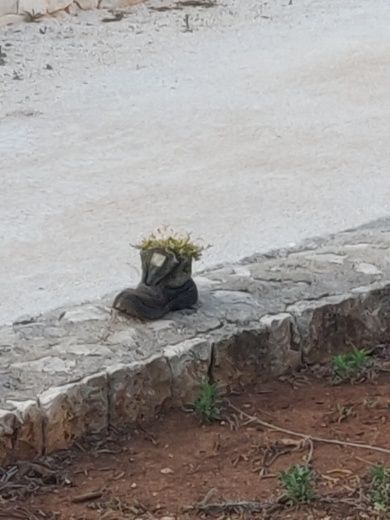 Tropea Without license bma x199 alt tag text