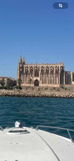 Пальма Motorboat Sunseeker Superhawk 48 alt tag text