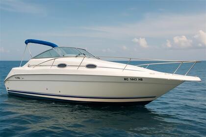 Rental Motorboat Sea Ray 250 Mandelieu-La Napoule