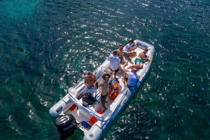 Czarter Ponton RIB 2000 leghe Sealife 5.8 Marzamemi