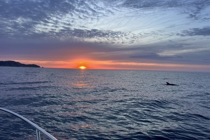 Location Bateau à moteur Jeanneau Cap Camarat 755 Wa Calvi