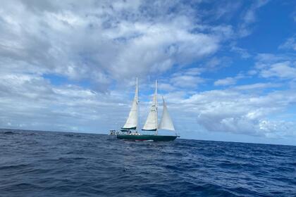 Charter Sailboat Southern Ocean Ocean60 Martinique