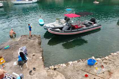 Charter RIB Lolivul 7.4 Blace