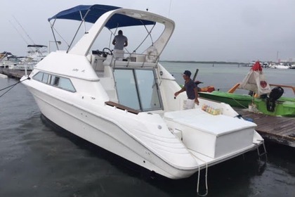 Verhuur Motorboot Sea Ray 38 Fly Deck Cancún