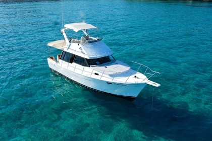 Miete Motorboot Bayliner 3288 flybridge Ibiza