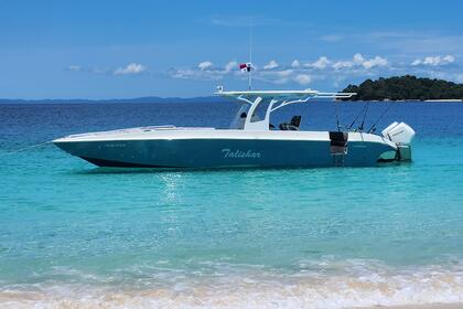 Hire Motorboat Todomar 38 Panama City