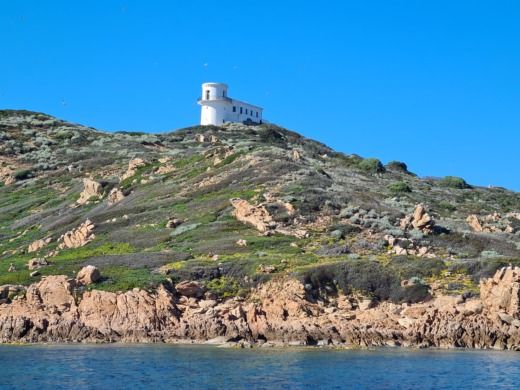 Ajaccio Motorboat JEANNEAU CAP CAMARAT 7.5 alt tag text