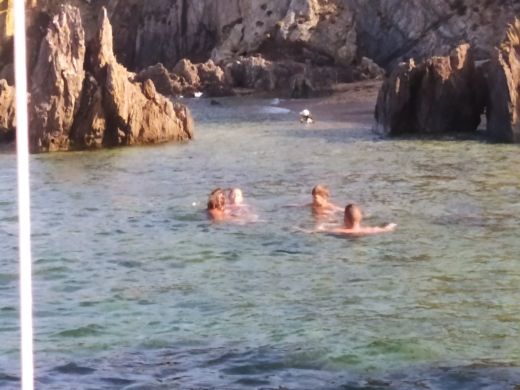 La Seyne-sur-Mer Motorboat Quicksilver 530 Flamingo alt tag text